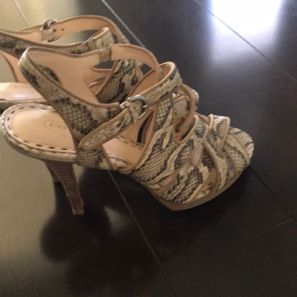 Coach Snake/Python Leather Shoes - image 2